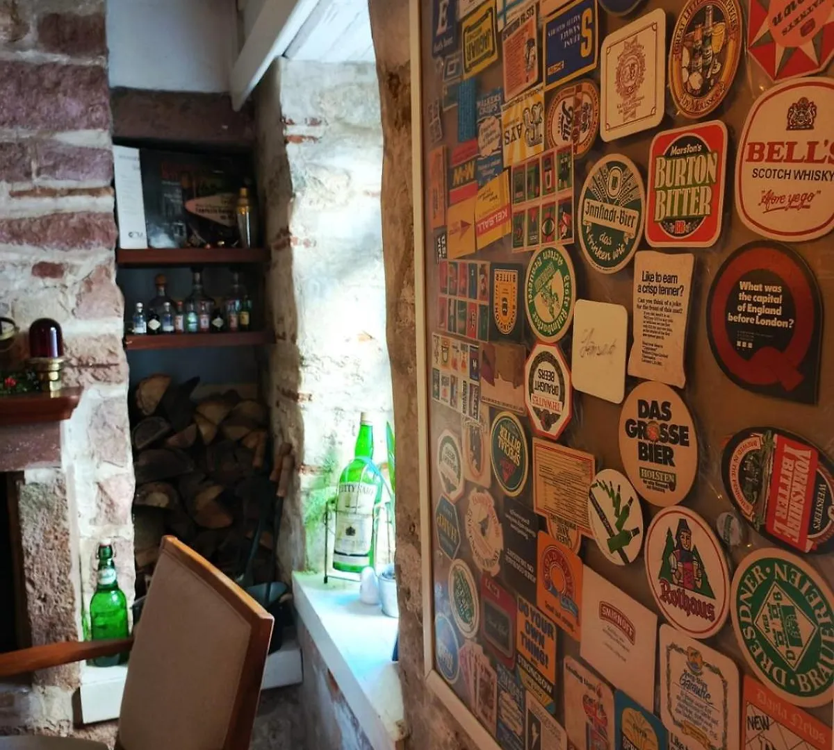 فندق Berlin'S Guest House أورلا